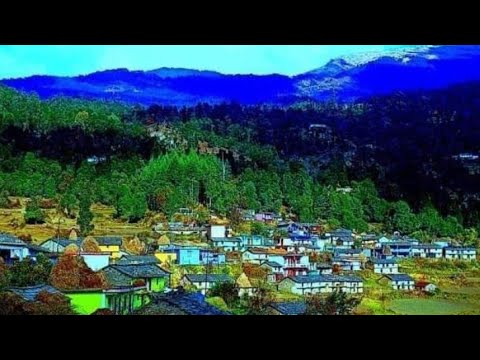 Ghar par banya volgh Mere ghar se pura gao dekhai deta h