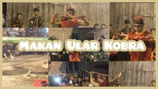 Lihat Jaranan Legowo Putro makan Ular Kobra mentah || Bulak sugo Ds. Nglundo Sukomoro Nganjuk