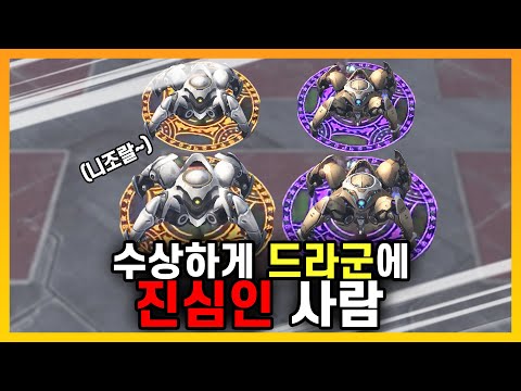 합칠 때마다 &amp;#39;용기병&amp;#39;이 돼버리는 미친 판 - [랜덤 타워 디펜스]