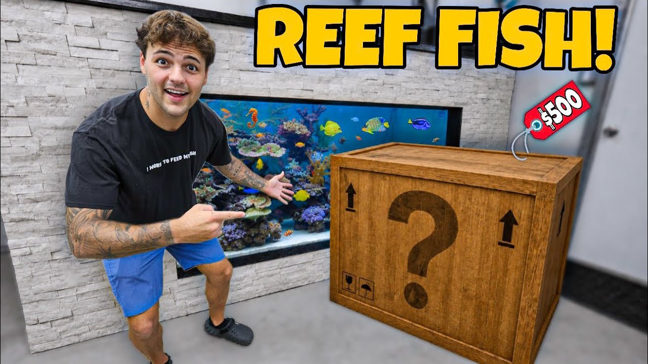 I got SURPRISED with NEW FISH for My Saltwater POND!! 