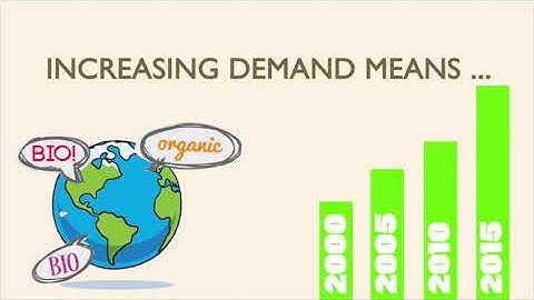 Soncini between raw materials and food processing eng