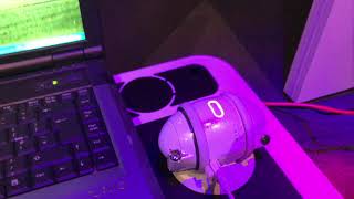 Unboxing Sony Rolly Dancing Bluetooth Music Player Part 2 Software Installation And Setup screenshot 3