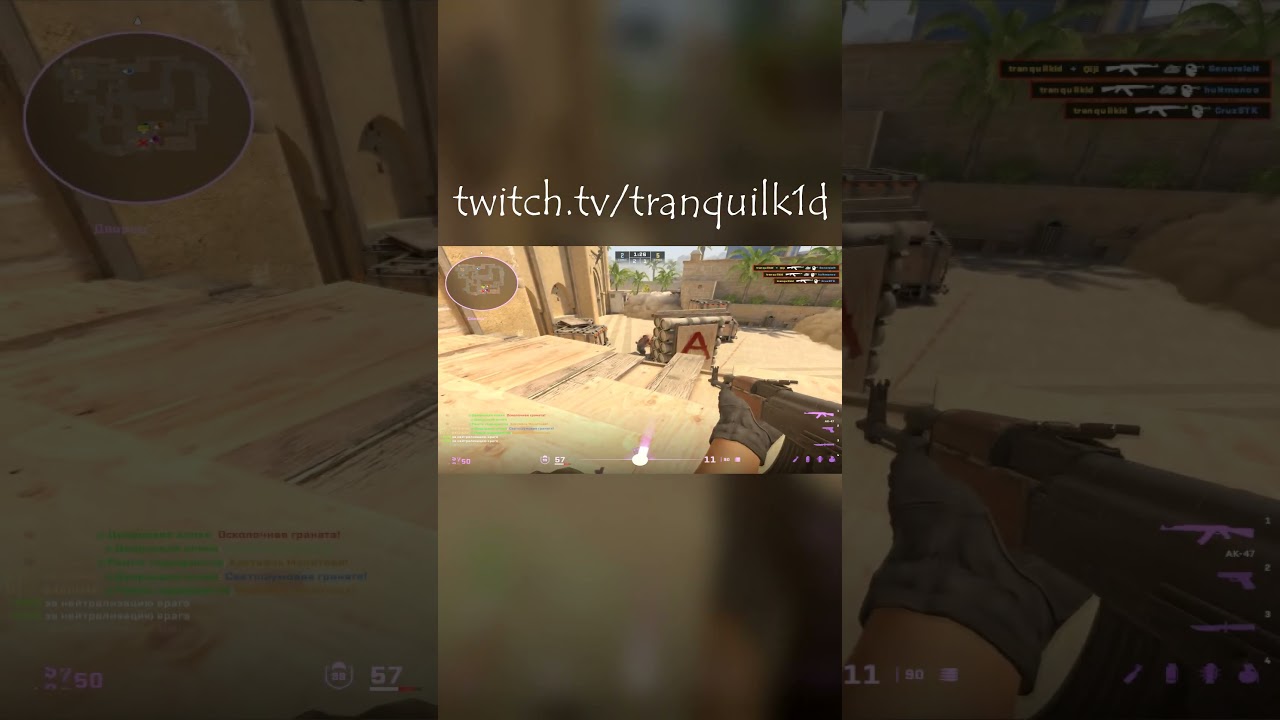 twitch.tv/tranquilk1d  