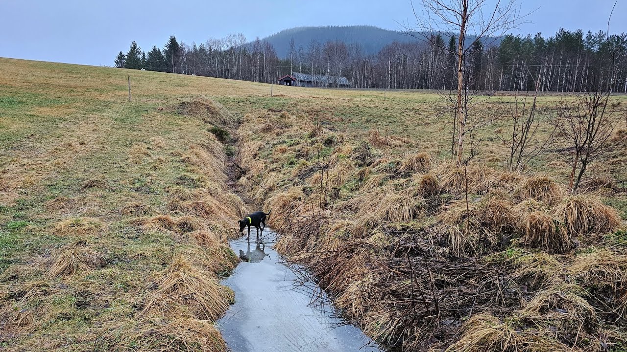 Trip to Norway in December 2025 - Day 1