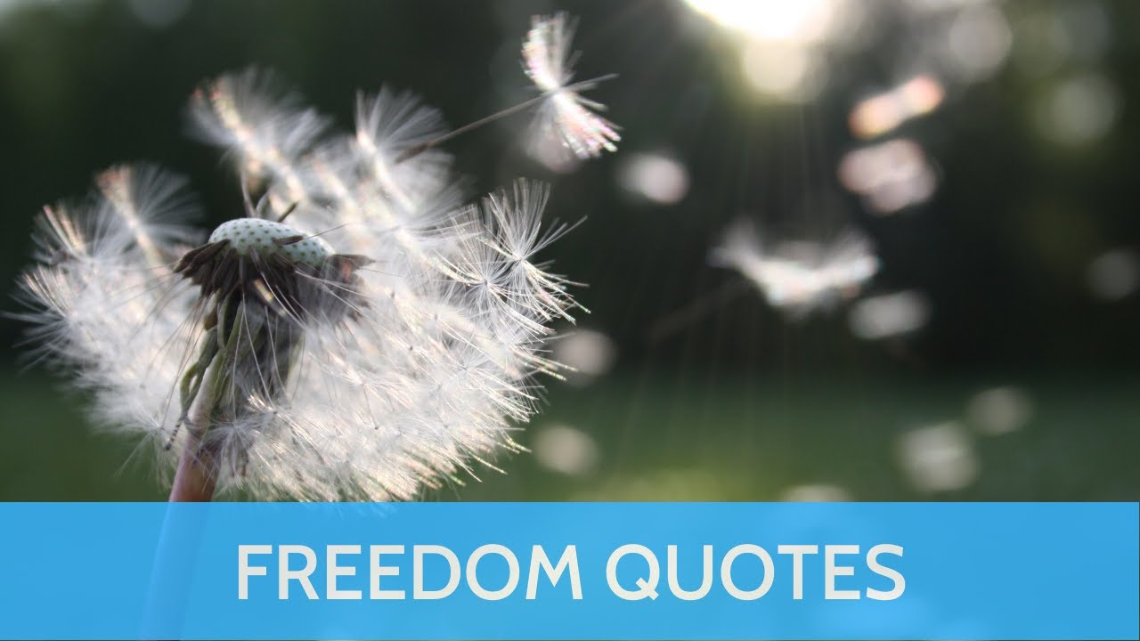 Freedom Quotes - Explore the Meaning and Value of Freedom with These Thought-Provoking Quotes