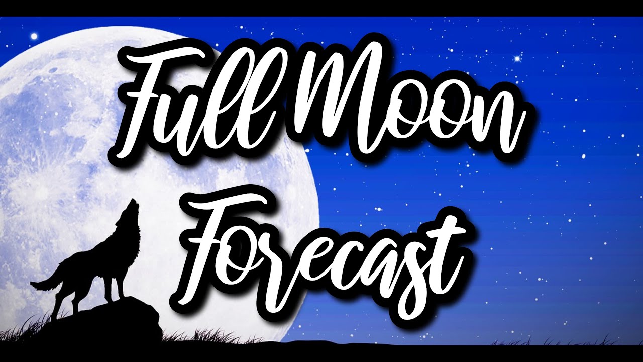 Cancer Full Moon Forecast~ All Signs 🐺🌕 - YouTube