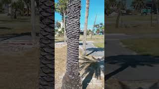 🏗️ Transformation Ahead for Fort Myers Beach! 🌴