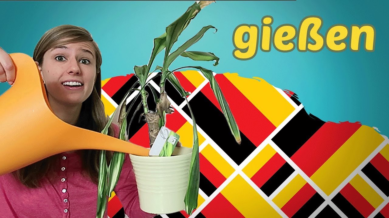 Learn 5 new GERMAN Words per DAY - IN THE LIVING-ROOM - YouTube