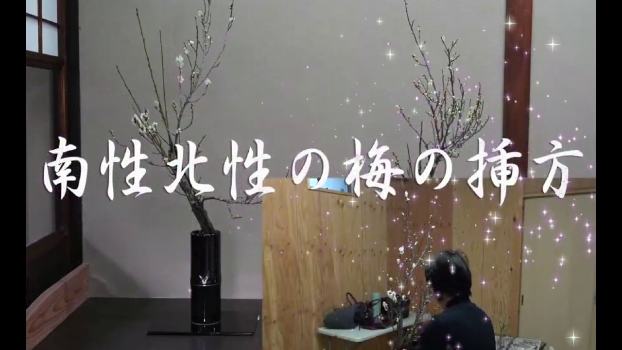 嵯峨御流・南性北性の梅の挿方（いけかた）:音声改善版