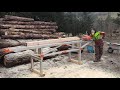 LOGOSOL F2 Sägewerk im Einsatz (Portable Sawmill in Action)