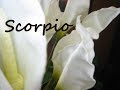 SCORPIO Love April - OMG ... ENOUGH ALREADY!!