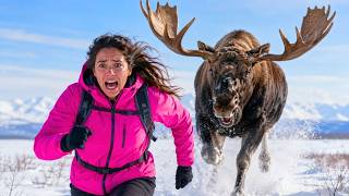 Most Dangerous Animals in Alaska Explained | Full Documentary