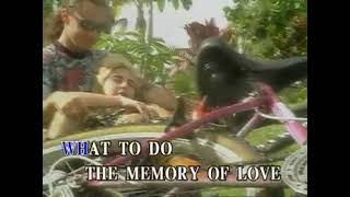 AVSEQ09 Perhaps Love - John Denver (2nd Version)
