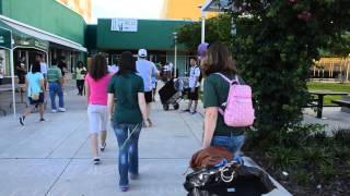 USF Move-In Day 2013