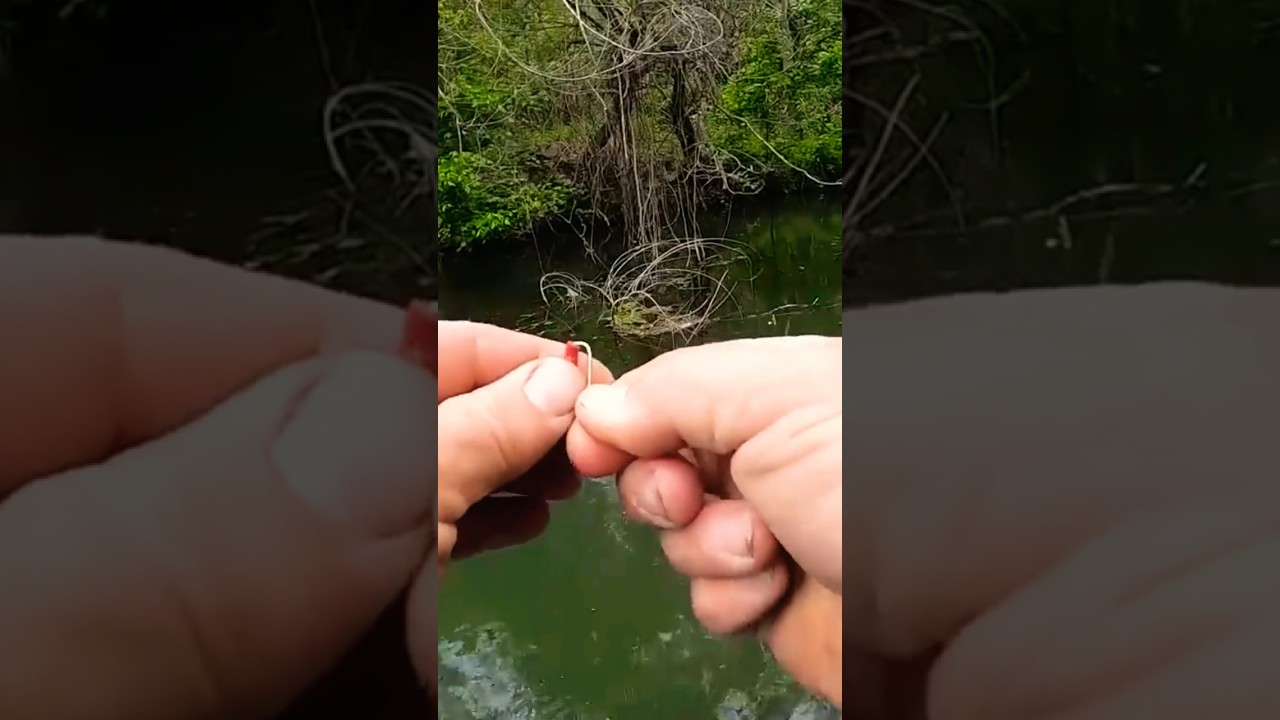 😳Как оснастить жабрового червя! 😮