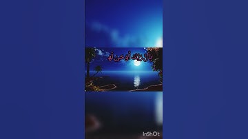 سورة الزلزلة للشيخ سعد الغامدي