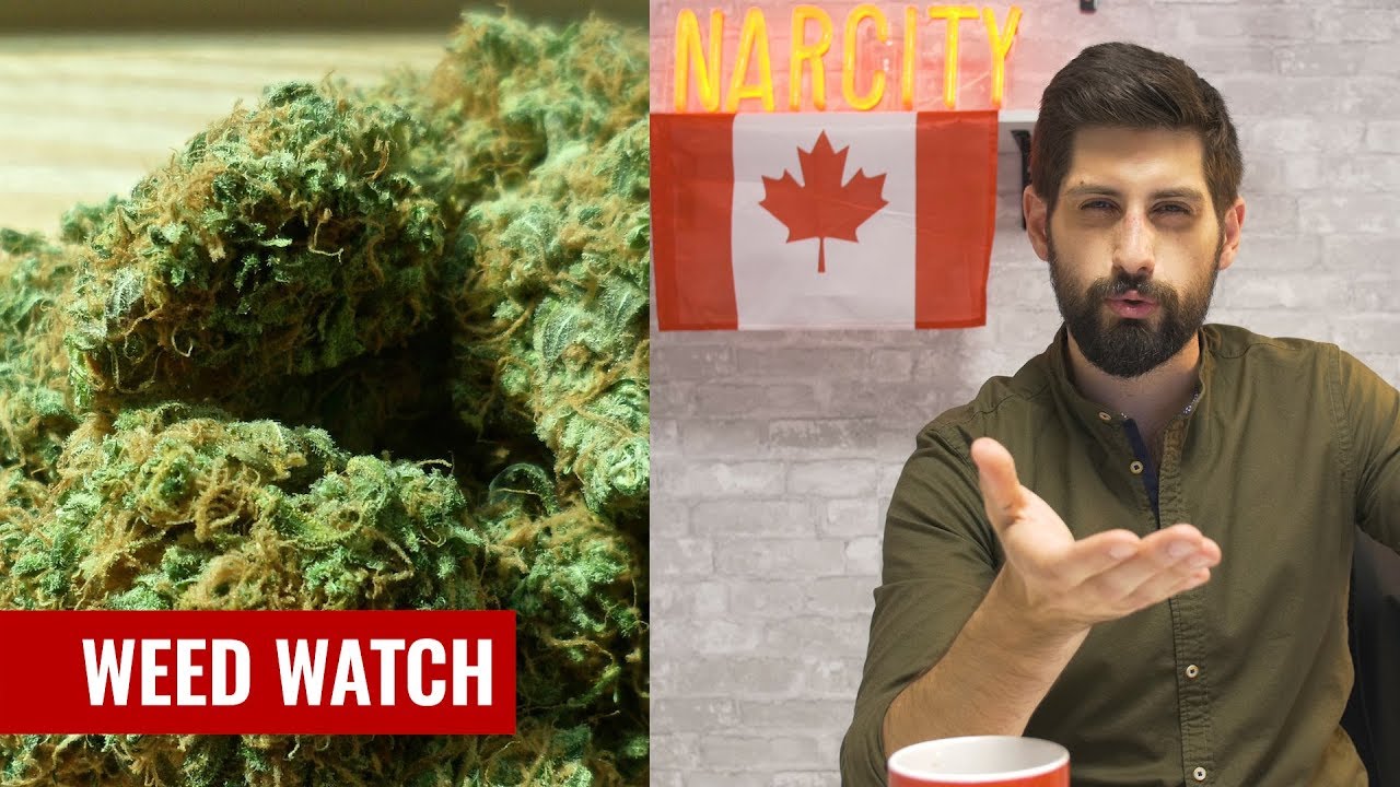 ONTARIO'S ALL-NEW MARIJUANA LAWS