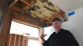 Flash and Batt in Alaska: Risks and Concerns