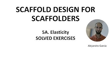 Elasticity: Solved exercises - Scaffold design for scaffolders 5A