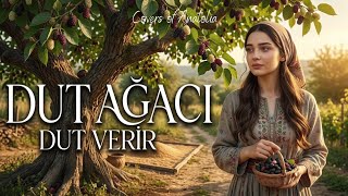 Dut Ağacı Dut Verir Psychedelic Anatolian Rock Cover Türkü