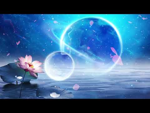 Video Hoa Sen Trắng | Phú Nam - youtube