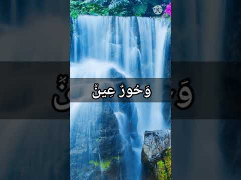 الآية الكريمة يطوف عليهم ولدان مخلدون بصوت جميل