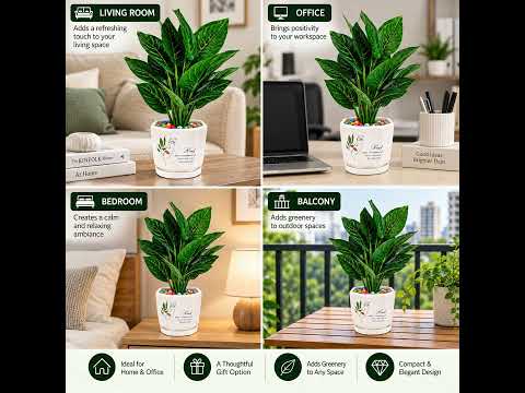 Product video