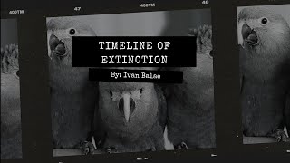 How Did The Birds From The Movie Rio Became Extinct? Spixs Macaw Timeline Of Extinction