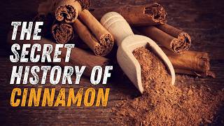 The Secret History of Cinnamon: Valued Higher Than Gold