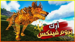 أرك فينكس 1#: بداية سلسلة أرك رهيبة مع مجربع و زيكو ! | ARK Phoenix