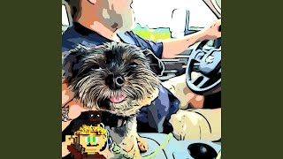 Good Boy, Soft Beat ה screenshot 1