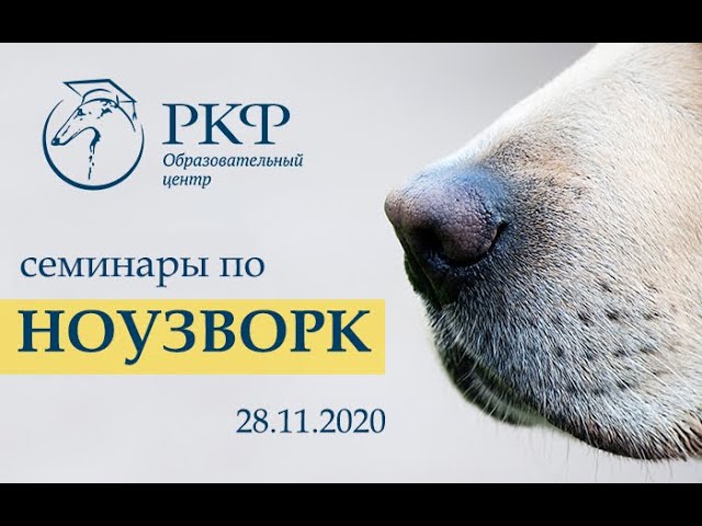 кинологические дисциплины