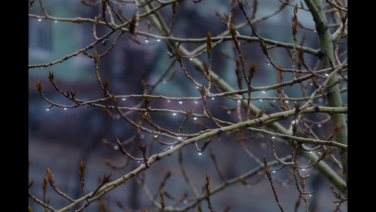 Плещет и плещет дождь монотонный. На стихи Хуана Рамона Хименеса. - YouTube