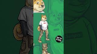 Shib | Vector Design