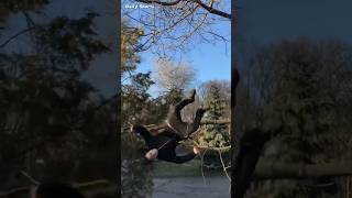 A Professional Faller (@Polianskii)