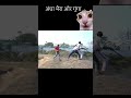 COMEDY VIDEO 🤣🤣 #funny #comedian #comedy #funny #comedian #comedyactor #ghost #comedyking