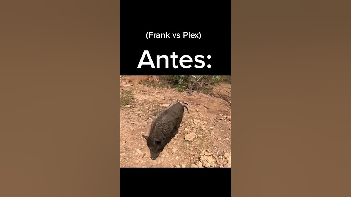 Frank vs Plex
