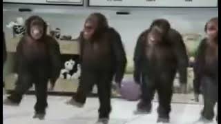 Leaked Footage Of Emiliano And His Fan Dancing