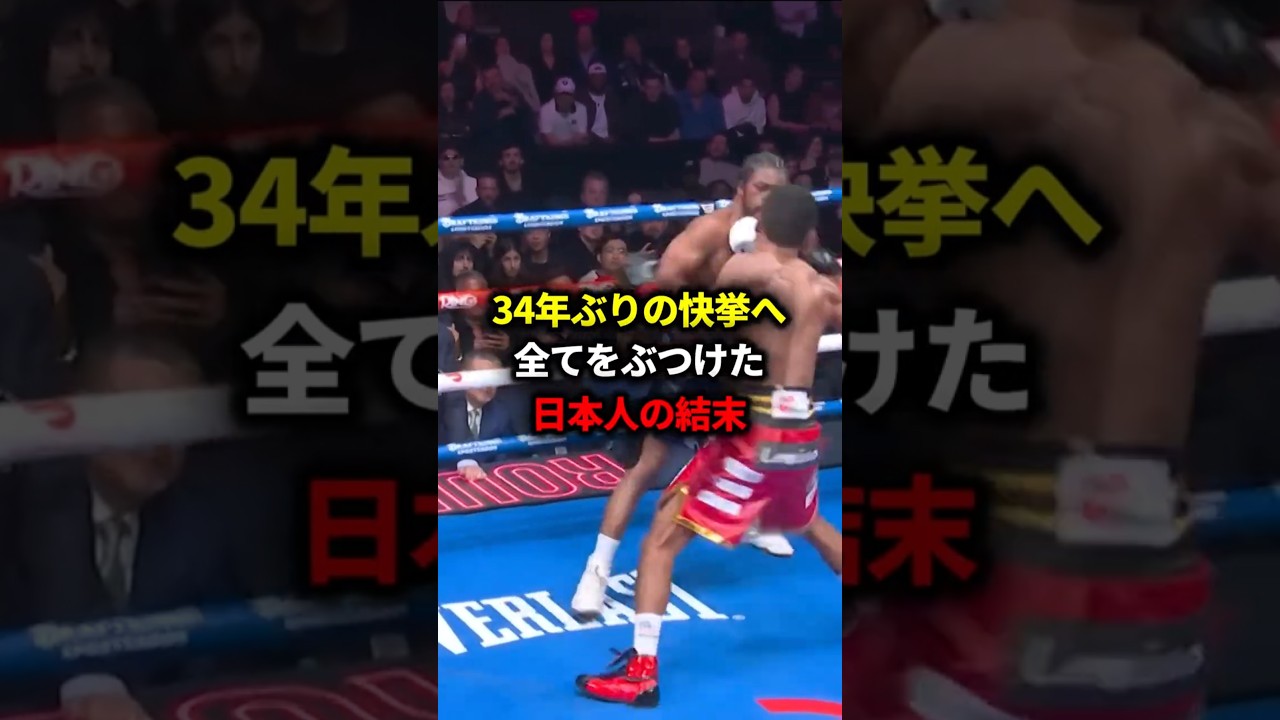 34年ぶりの快挙へ全てをぶつけた日本人の結末#格闘技#ボクシング #boxing #平岡ラッセル