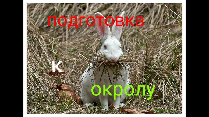 Можливі проблеми від вживання бананів