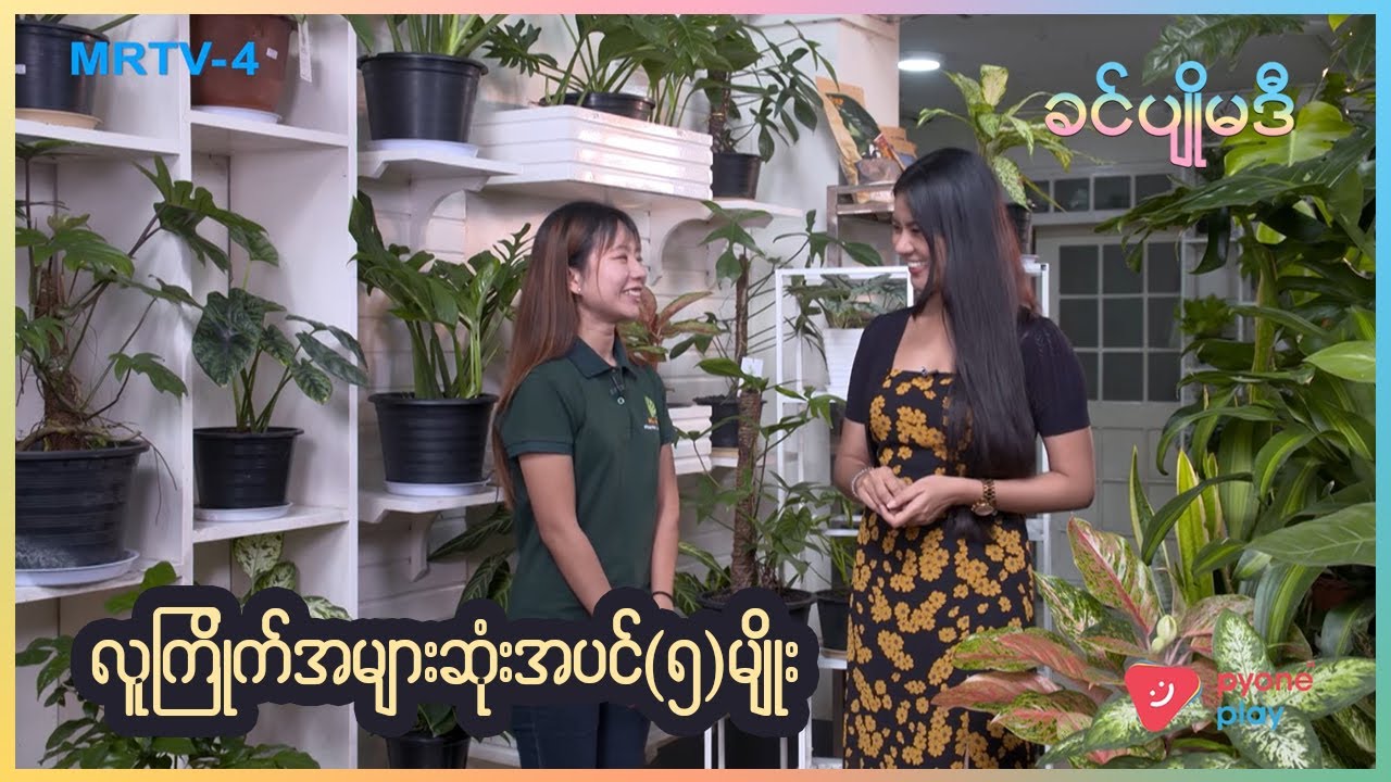 Gardining Tips လတ်တလော လူကြိုက်အများဆုံး အပင် (၅)မျိုး  | ခင်ပျိုမဒီ | MRTV-4
