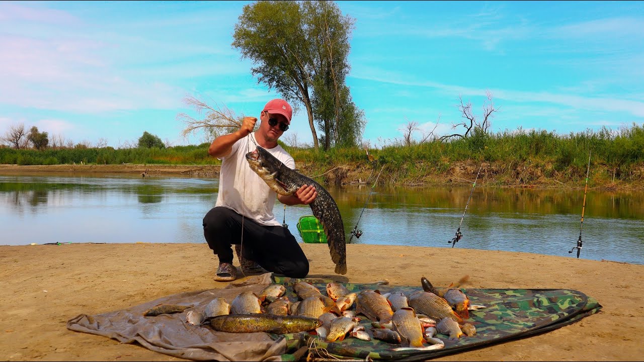 Рыбалка на реке КАРАТАЛ! САЗАН ПОПЕР!!! Фрикционы жужат закидушки ...