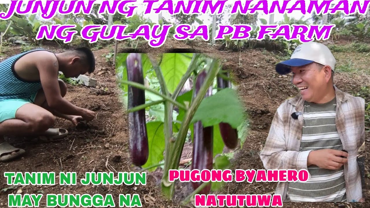 TANIM NI JUNJUN SA PB FARM MAY BUNGGA NA #pbteamdavao #pugongbyahero #hilights 