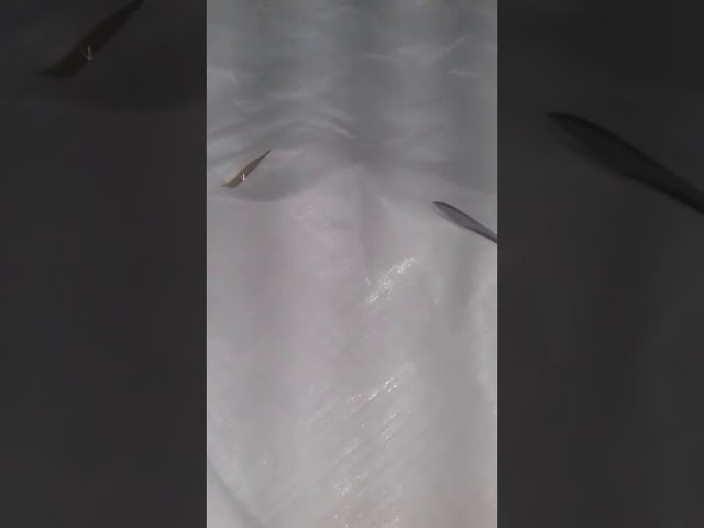Todos los videos