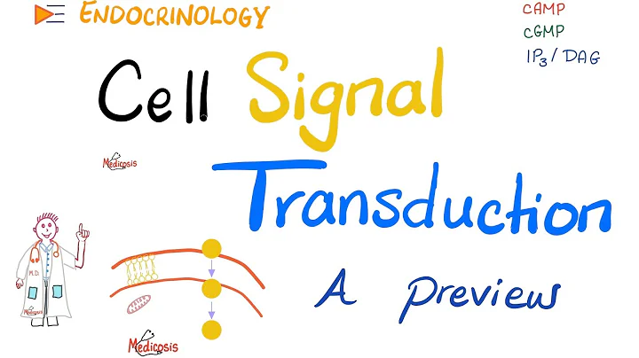 Cell Signal Transduction —   G-Protein, cAMP, JAK-STAT pathway —  Endocrinology Series
