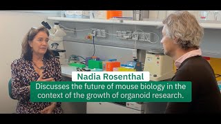 Nadia Rosenthal On The Future Of Animal Models With The Growth Of Organoid Research