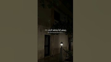 تلاوة ماتيسر من آيات سورة القصص بصوت القارئ #محمد_المنشاوي #قران_كريم #اكسبلور #تلاوة_خاشعة #اجر 