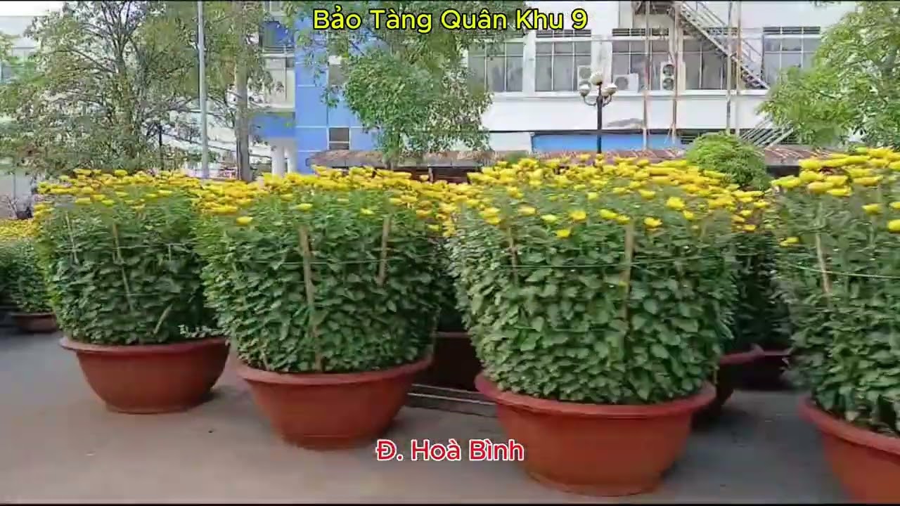 Chợ An Nghiệp - Tham Tướng - Da Liểu - Cần Thơ  Ngày17 Tháng Chạp 2026