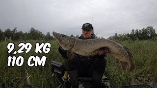 Pike 9,29 kg 110 cm Kayak fishing