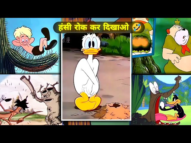 FUNNY CARTOON😂 battakh ki Ijjat (Hanshi Rook ke deekhao 🤣) Memes Cartoon